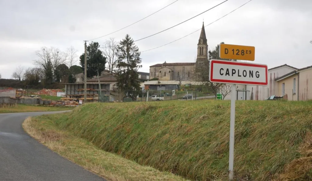 Homem mata irmão e cachorro, queima os corpos e é preso