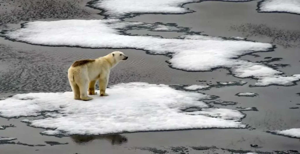 Como as mudanças climáticas afetam as cidades e as estratégias de adaptação
