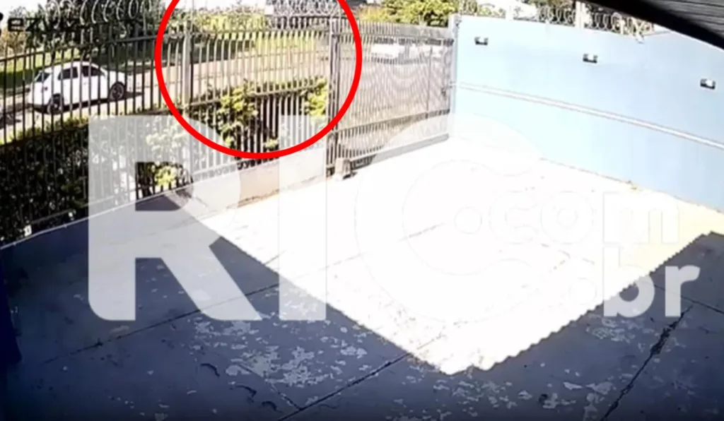 Mulher sendo atropelada por trem