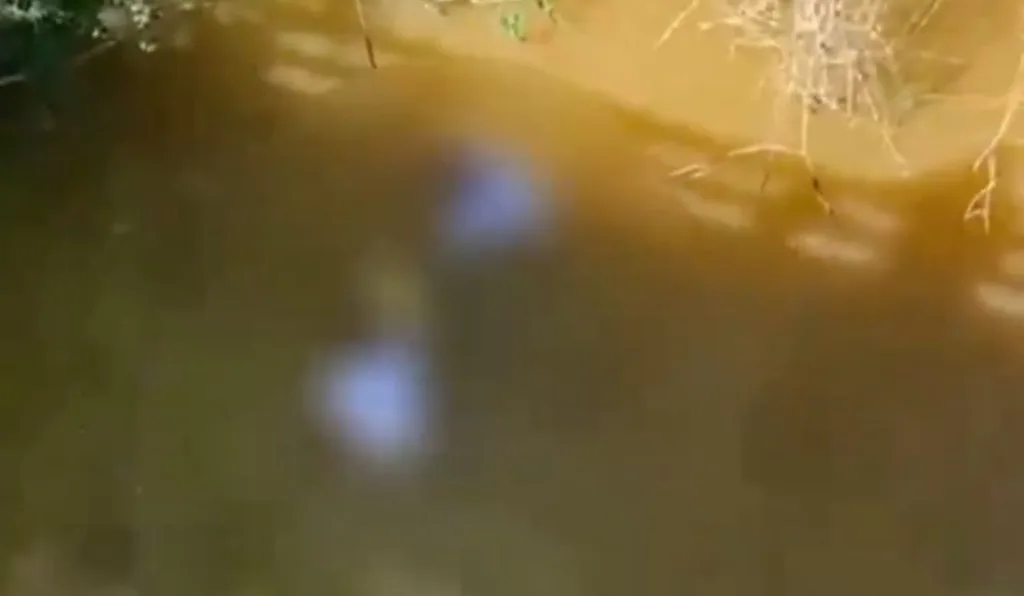 imagem censurada de policiais resgatando criança que morreu presa em cadeirinha