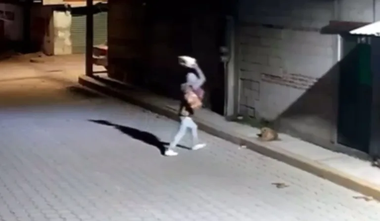 Homem atingindo cachorro com pedra