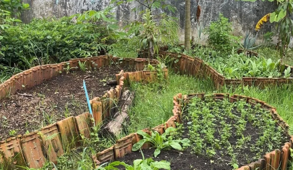 Projeto social em Matinhos transforma vidas de crianças e adultos; veja detalhes