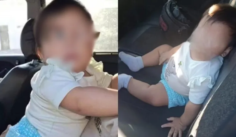 Bebê é encontrada engatinhando em rodovia após mãe ser brutalmente assassinada