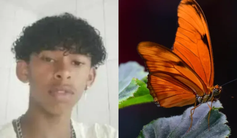 Adolescente morre após injetar na veia restos de borboleta diluídos em água