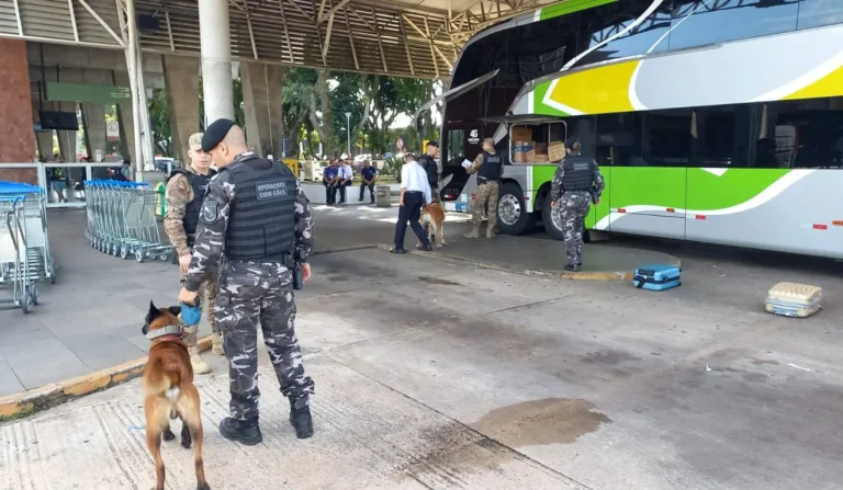 Grávida foi presa após transportar maconha em ônibus com destino a Curitiba.