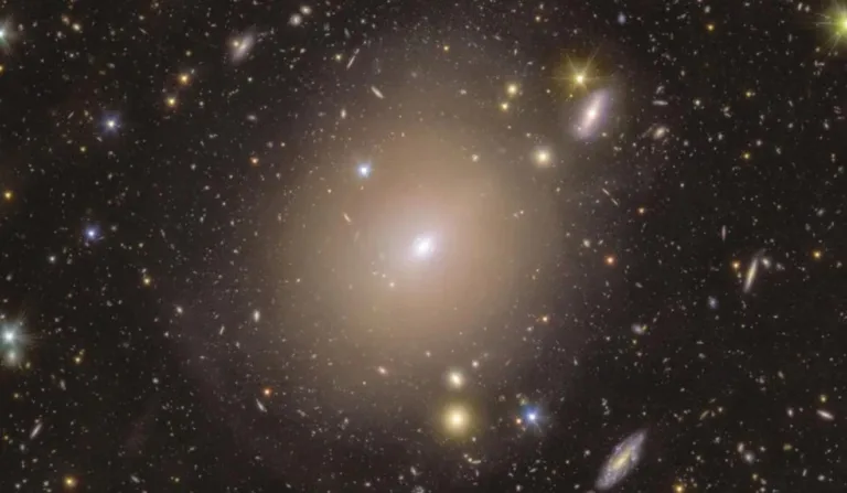 anel de albert einstein