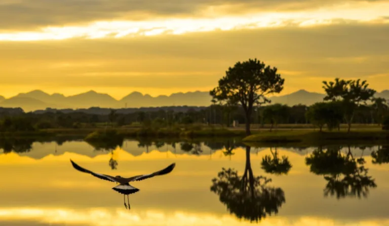 Festival da Cerveja de Pinhais; veja a data e programação