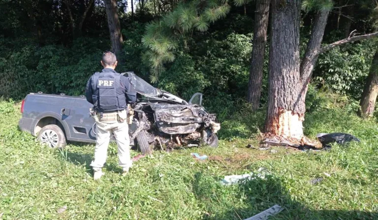 jovem de 19 anos morre após colidir contra árvore, na BR-116, em Piraquara