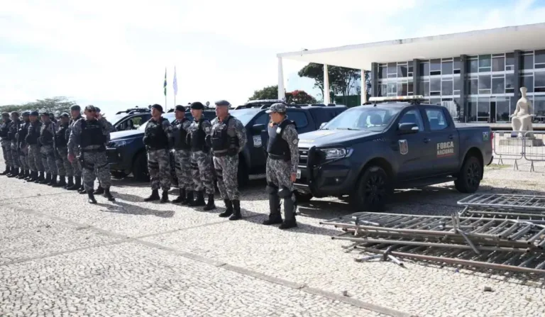Segurança pública para o cidadão: o que é e por que ela é essencial