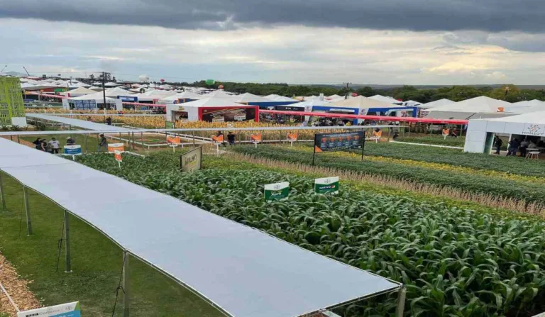 Espaço de plantações do Show Rural