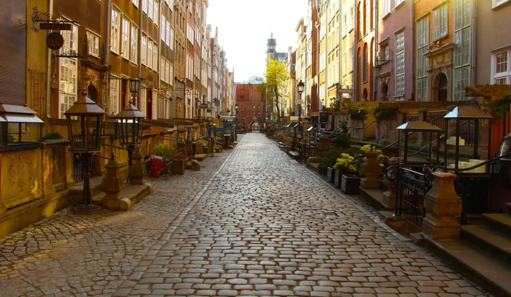 rua em paralelepípedo com casas e plantas na calçadas