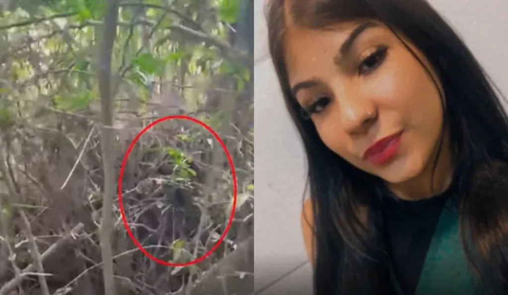 Local de Mata e Vitória Regina