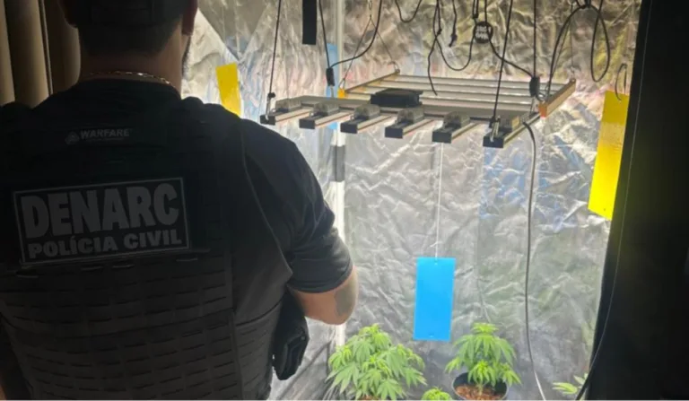 Shampoo de maconha contra calvície foi apreendido por policiais