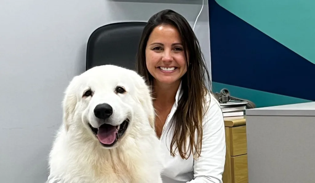Cuidado com pets no calor extremo: médica veterinária participa do Boa da Pan