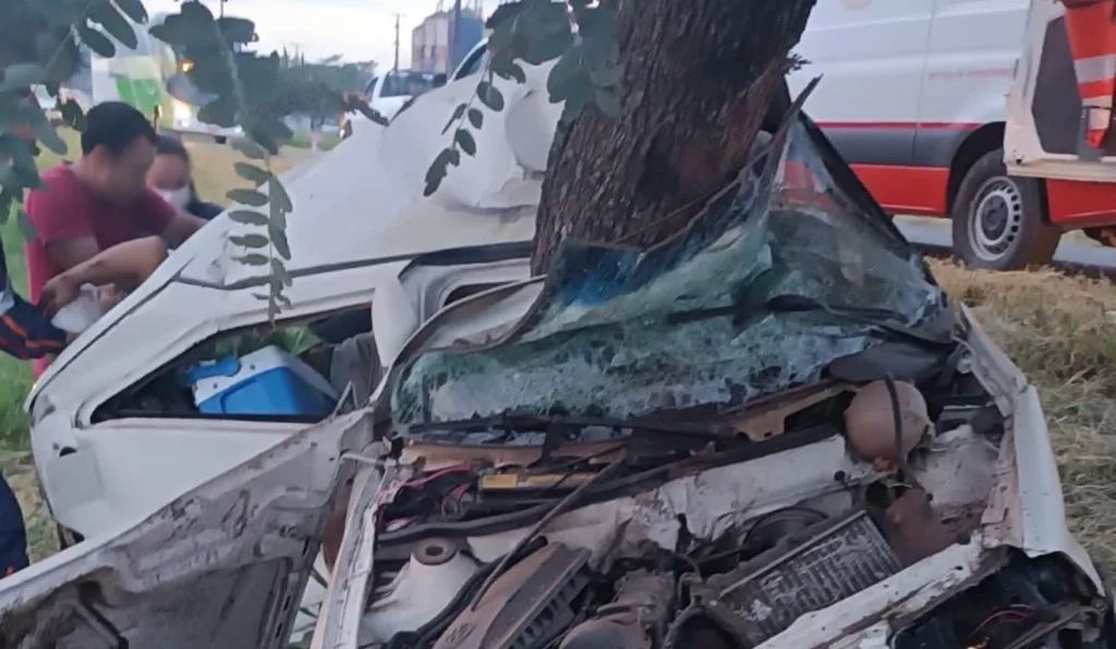 adolescente morre após carro bater em árvore em Imbituva