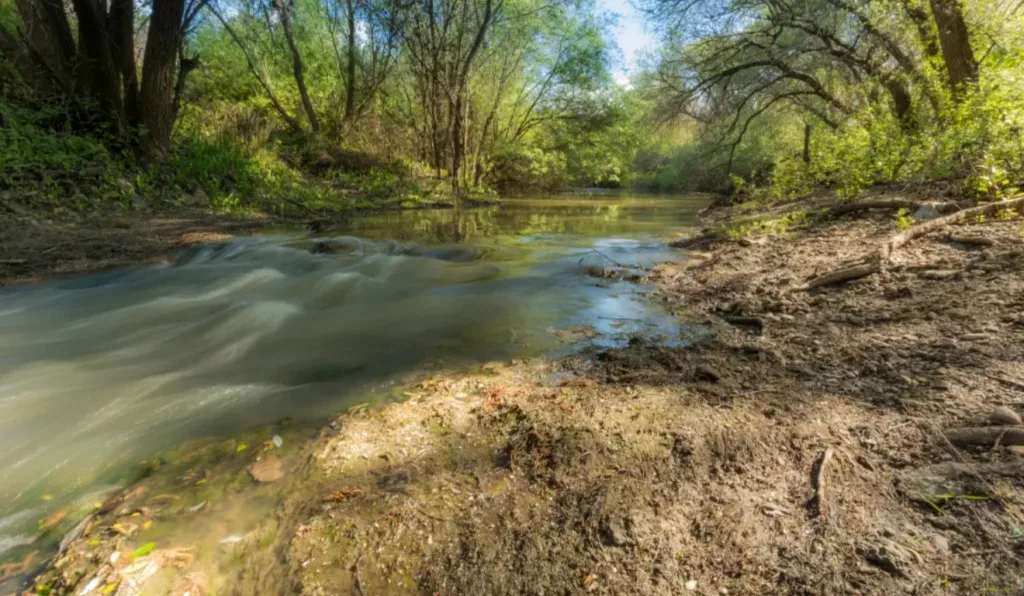 Laura desapareceu em 1975, mas os restos mortais foram encontrados 20 anos depois