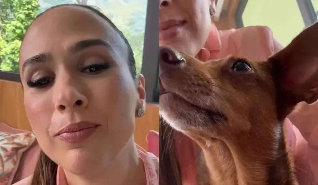 tata werneck cachorro