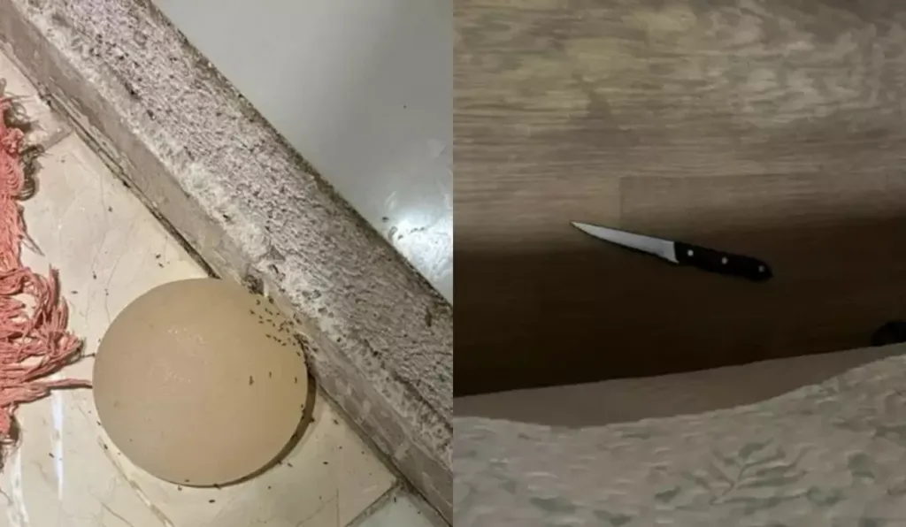 Imagens da faca utilizada e da prótese do silicone que foi arrancada.