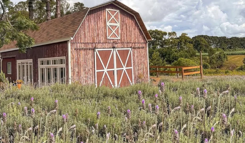 Imagem do Lavandário dos Sonhos.
