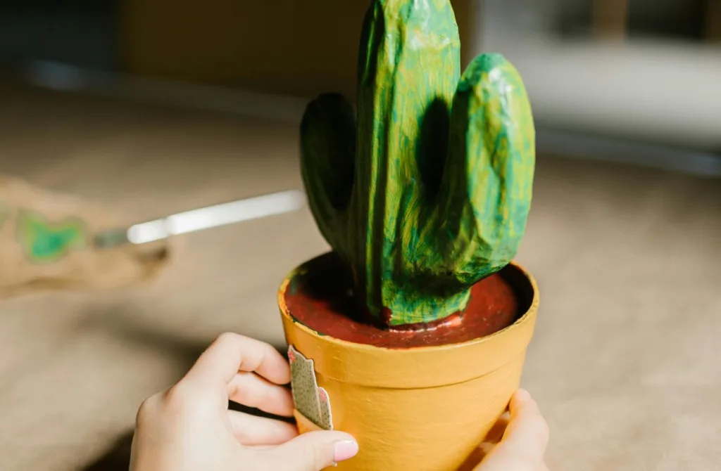 Cuidar de cactos dá pouco trabalho, mas é preciso saber onde posicioná-lo