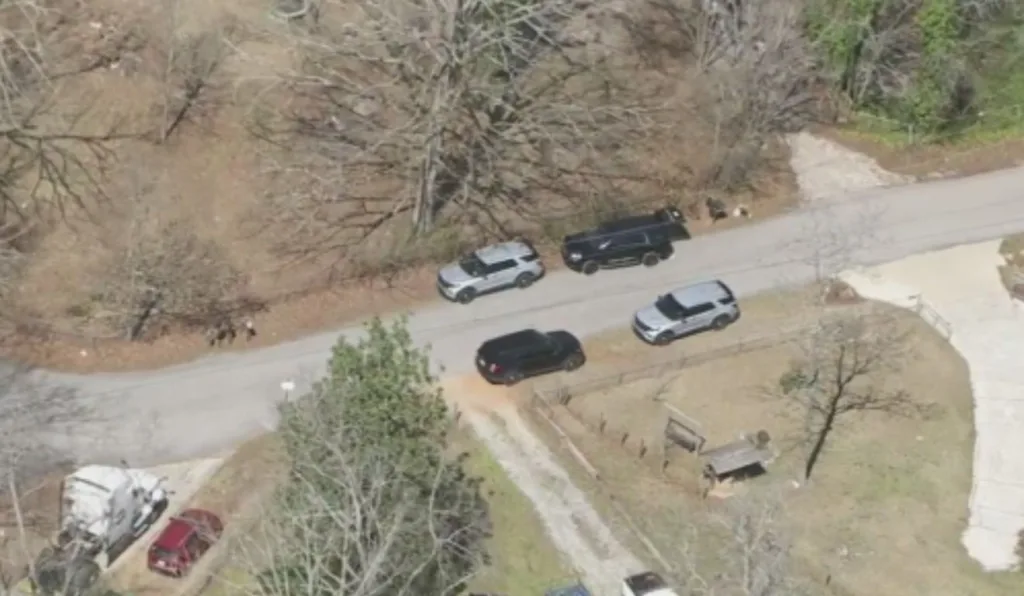 Criança de dois anos atira acidentalmente em irmão gêmeo