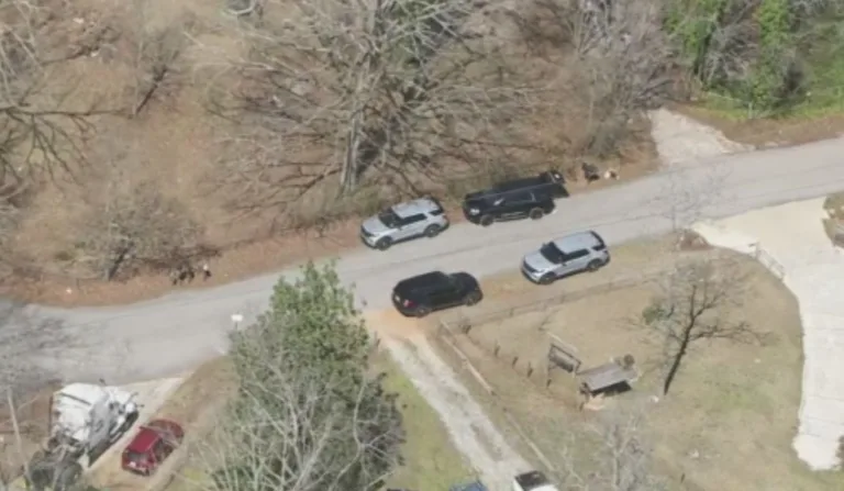 Criança de dois anos atira acidentalmente em irmão gêmeo