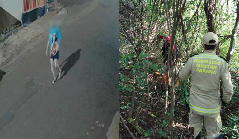 Momento em que idosa caminha em direção à mata (Foto: reprodução / câmera de segurança e divulgação / Corpo de Bombeiros)