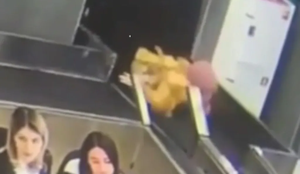 Idosa desaparece em esteira de bagagem de aeroporto