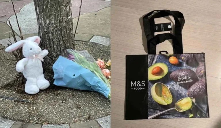 sacola onde recem-nascido foi encontrado