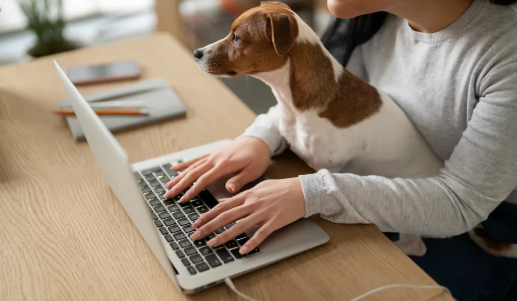 Cachorro ao lado do computador.