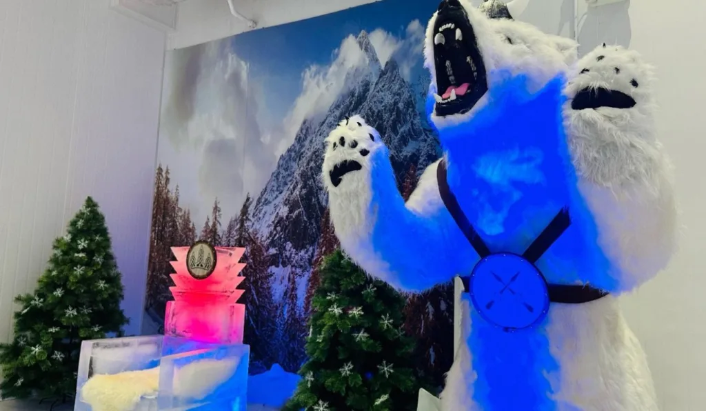 Curitiba ganha bar de gelo com temática viking e temperatura a -10°C; confira