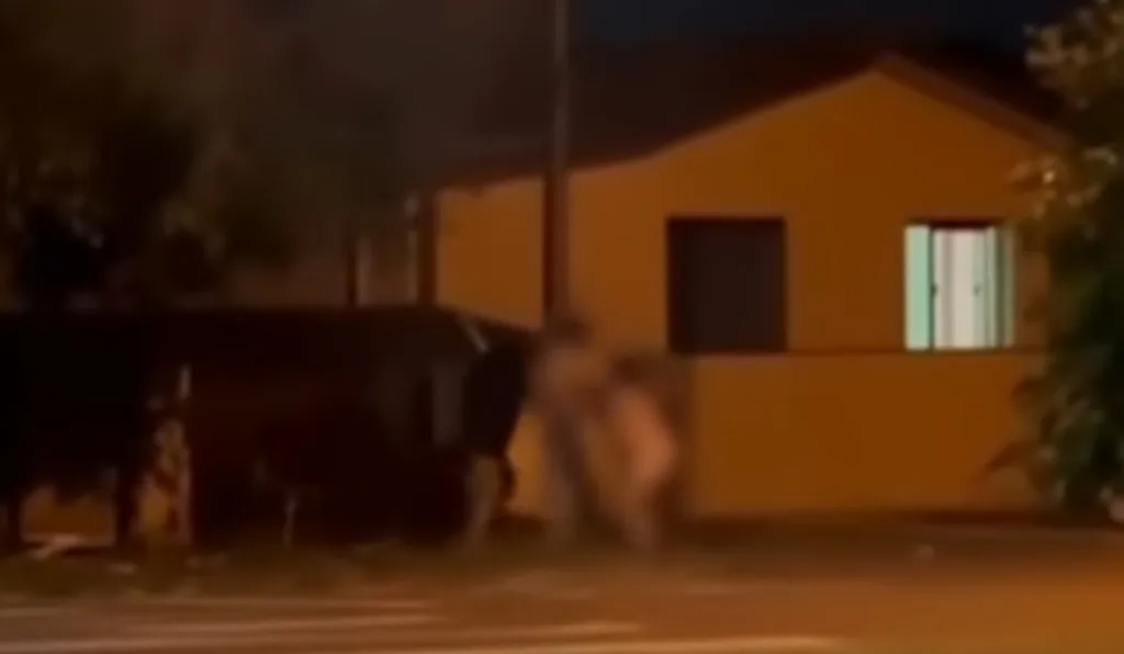briga no meio da rua com mulher nua