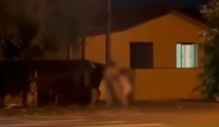 briga no meio da rua com mulher nua