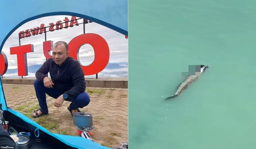 Banhista morre ao ser devorado por crocodilo enquanto nadava em mar