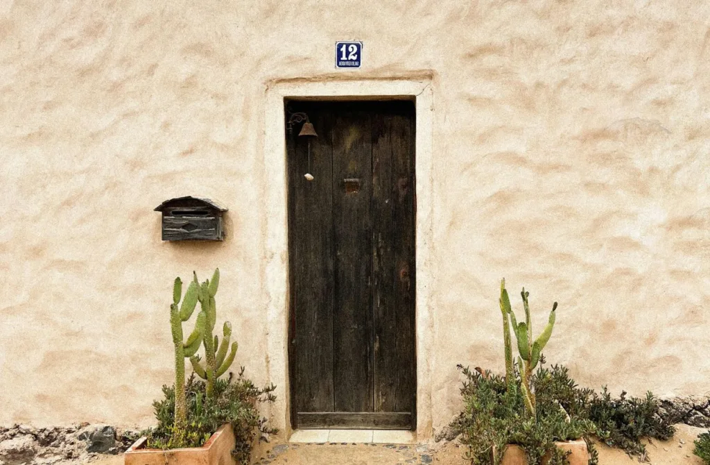 Alerta sobre ter cactus em casa vem da milenar sabedoria chinesa