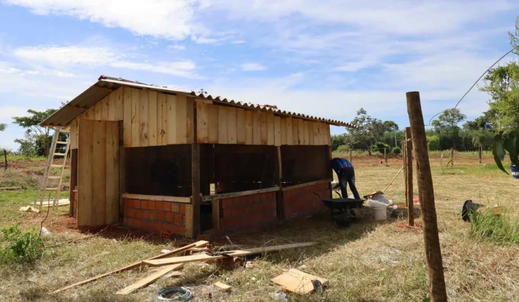 galinheiro comunitario
