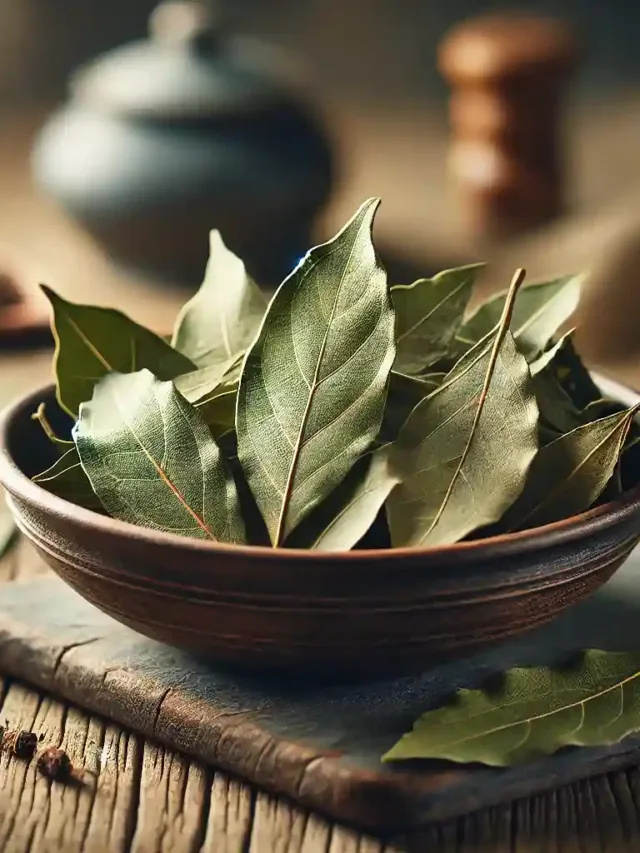 5 benefícios surpreendentes das folhas de louro