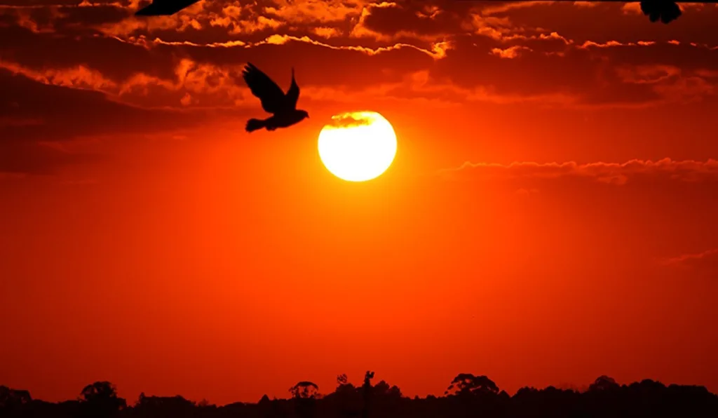 Pôr do sol em Curitiba, Paraná