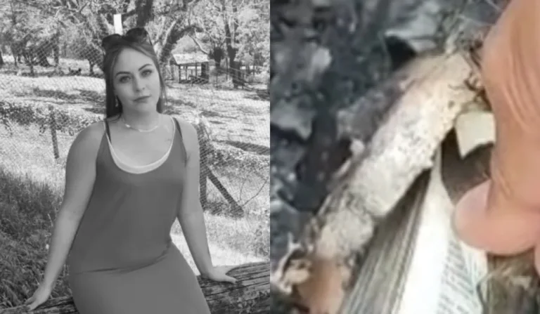 Bíblia foi encontrada no carro onde estavam Mayara e a família