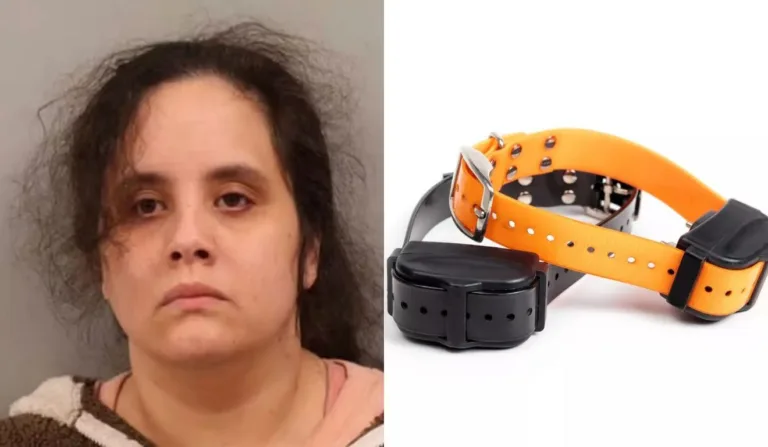 Mãe é presa por obrigar filho a usar coleira de choque elétrico usada em cães