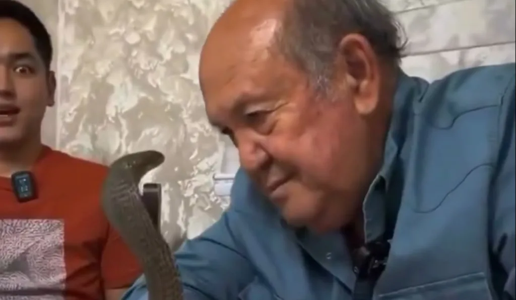 Idoso encarando cobra