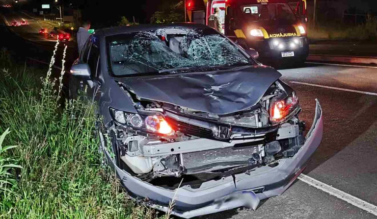 Motorista atropela pedestre na Avenida Manoel Ribas, em Curitiba