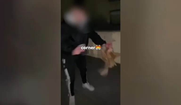 Galinha é usada como 'bola de futebol' por jovens