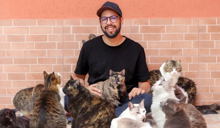 Tutor de 45 gatos, Boa da Pan recebe o comediante André Assunção
