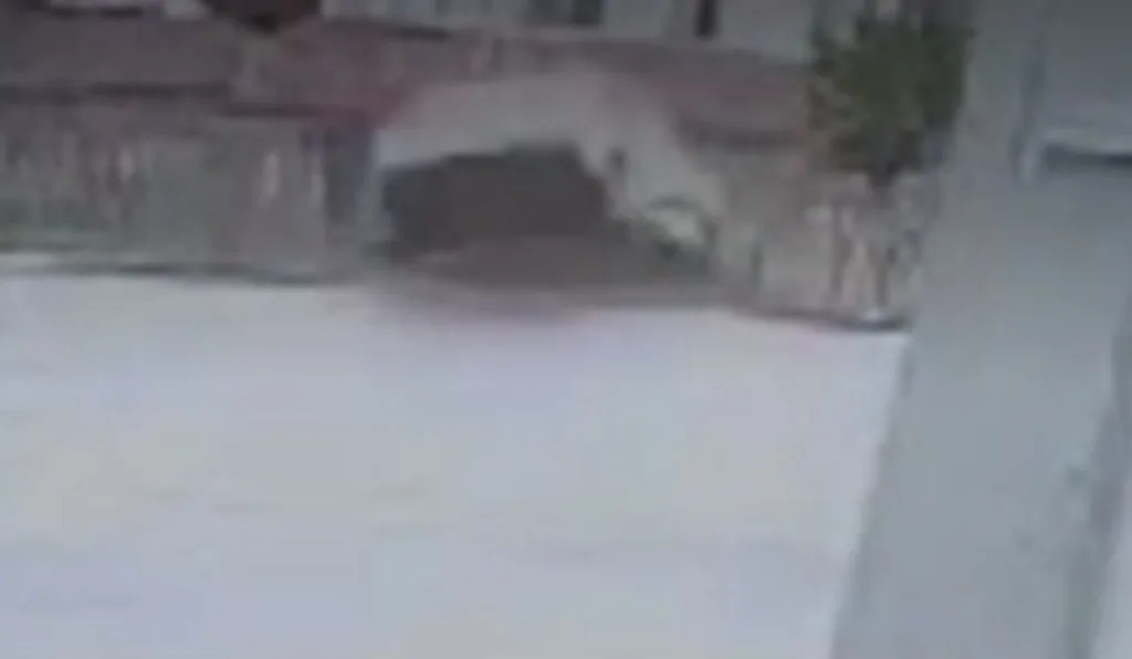 carro do motorista embriagado após atropelar idoso