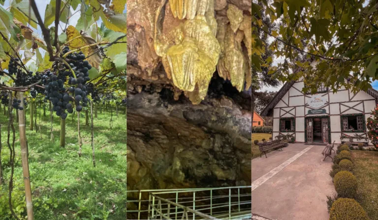 Imagem da Vinícola, Gruta Bacaetava e Colônia Witmarsum.