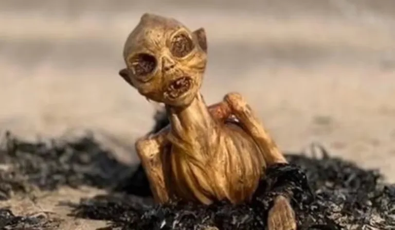 Suposta "sereia alienígena" encontrada em praia intriga internautas