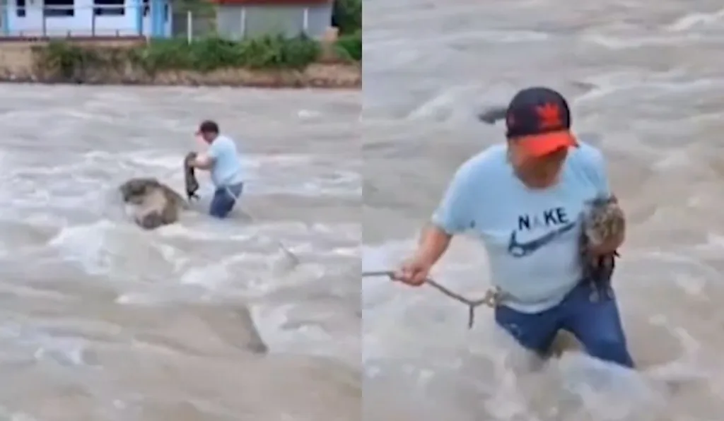 homem salvando gato de enchente
