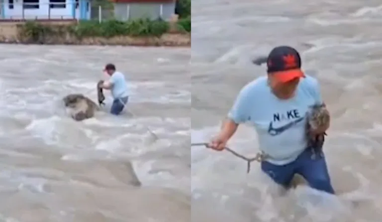 homem salvando gato de enchente