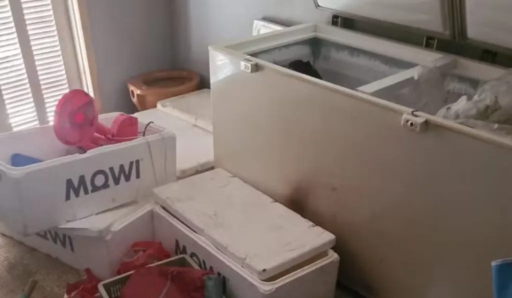 Freezer onde corpo foi encontrado